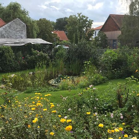 Schöne gemütliche Ferienwohnung mit Kamin im Harz I Darlingerode Exterior foto